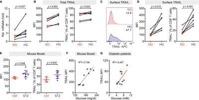 Unspecific CTL Killing Is Enhanced by High Glucose via TNF-Related Apoptosis-Inducing Ligand